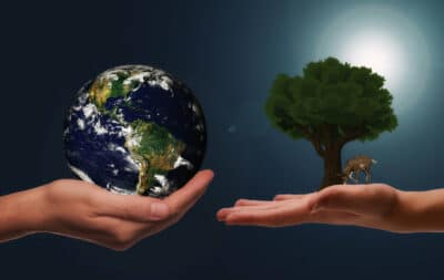 Erde und Baum auf Händen