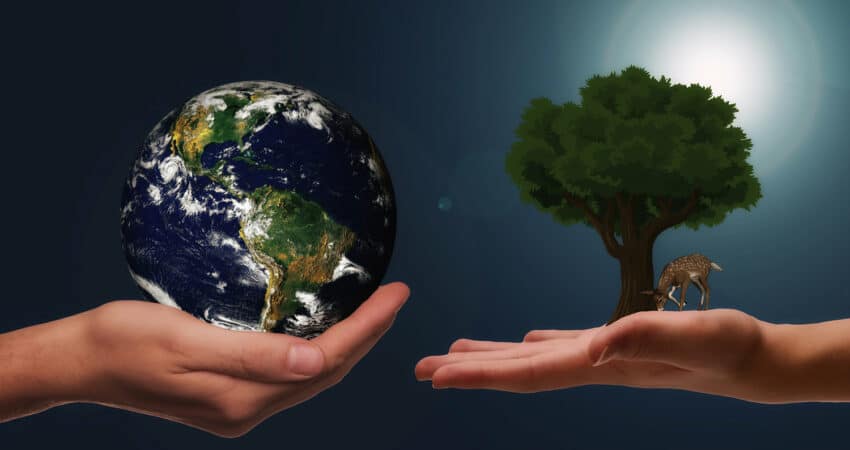 Erde und Baum auf Händen
