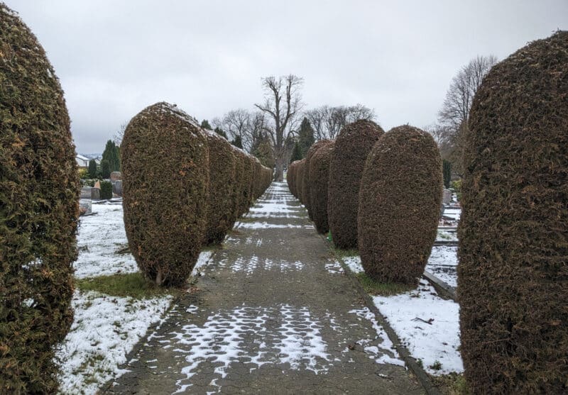 Friedhof in Heiden
